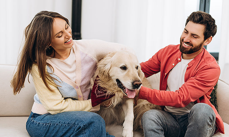 Seguro para mascotas